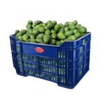 CAJA COSECHERA I QPLAST