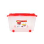 CAJA ORGANIZADORA #35 TRANSPARENTE C/ TAPA COLOR QPLAST